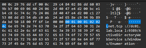 Client-server preamble